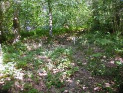 Remains of the incline